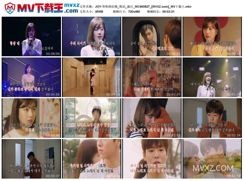 JOY-等你的法则_韩语_流行_MC400827